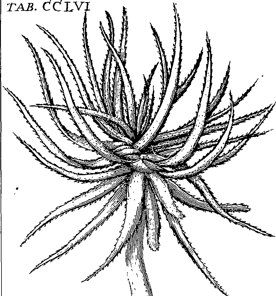110/110220030502330_1.png