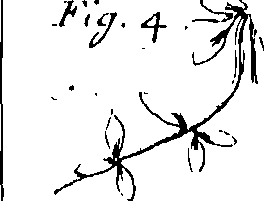 110/110220030502340_0.png