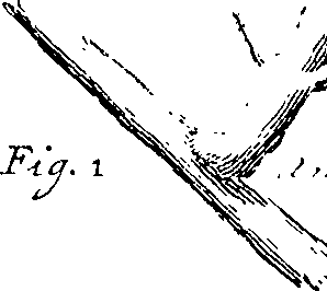 110/110220030502340_1.png