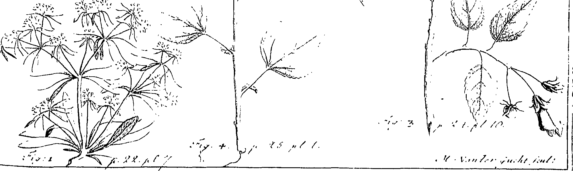 110/110220030502360_0.png