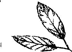 110/110220030502370_0.png
