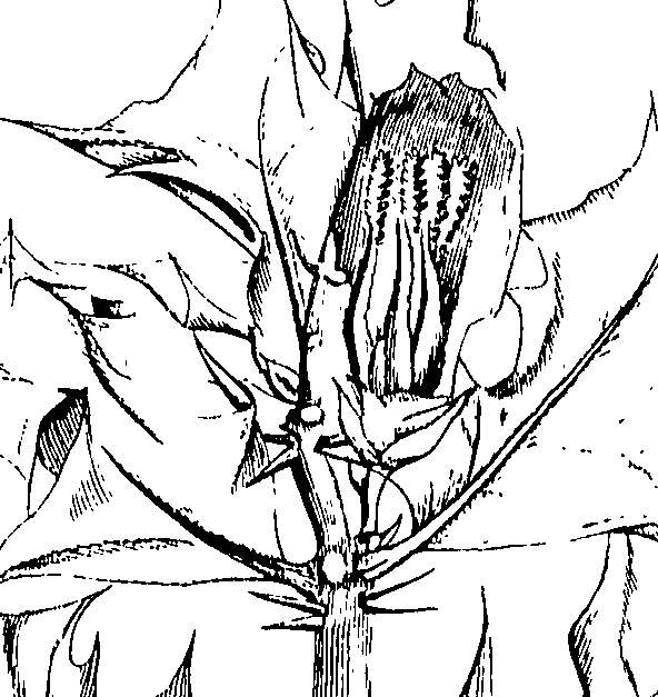 110/110220030502390_0.png