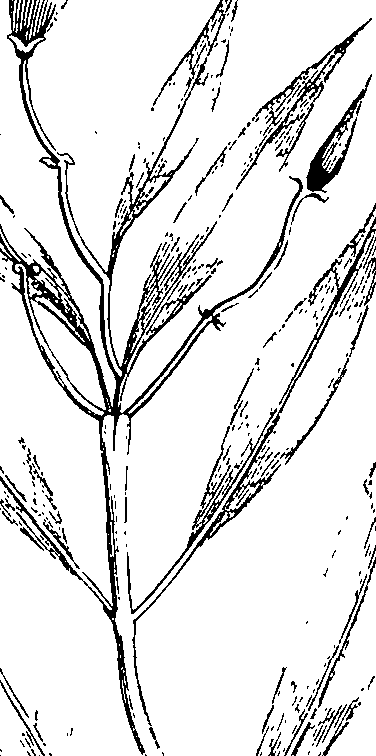 110/110220030502390_1.png