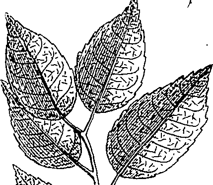 110/110220030502400_1.png