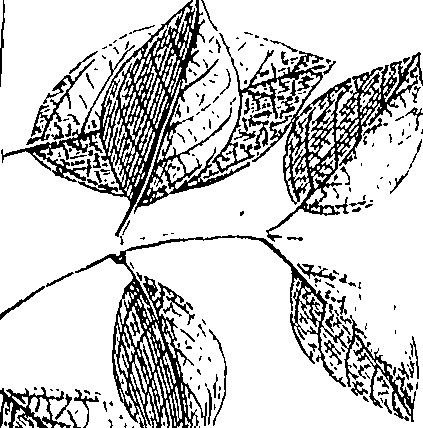 110/110220030502410_0.png