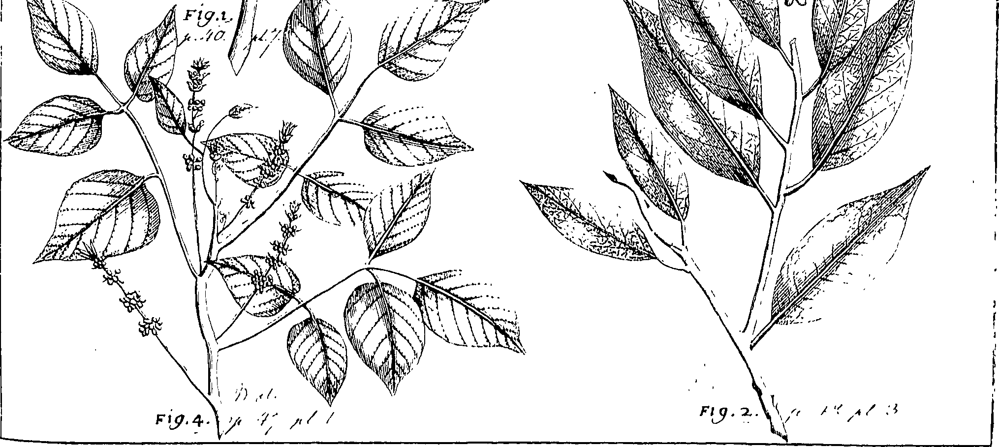 110/110220030502430_0.png