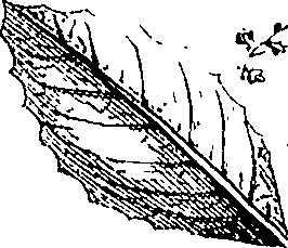 110/110220030502450_1.png