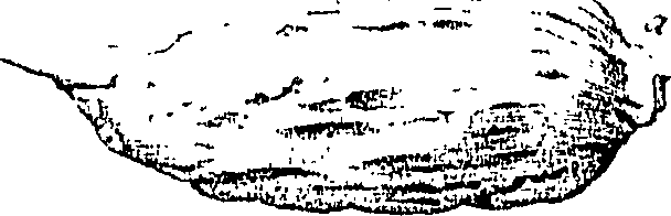 110/110220030502460_0.png