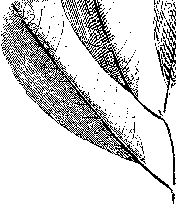 110/110220030502480_1.png