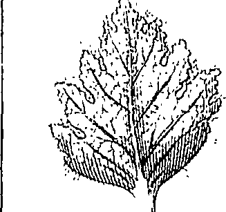 110/110220030502490_1.png