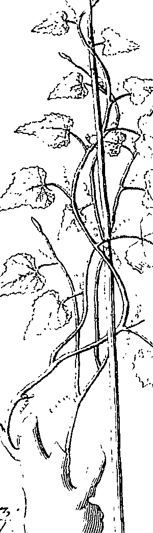 110/110220030502500_1.png