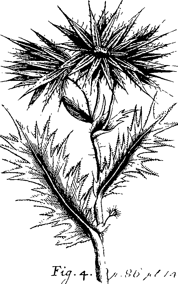 110/110220030502510_1.png