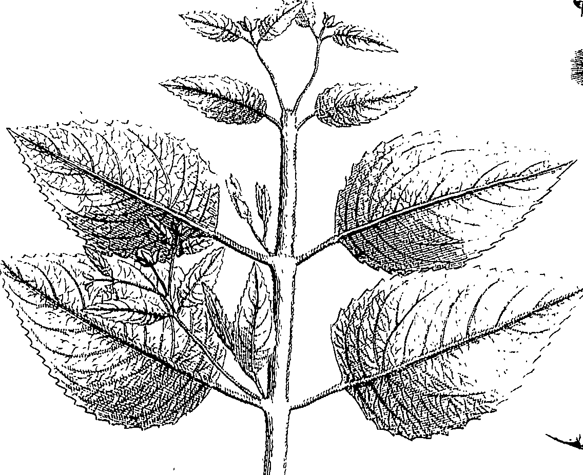 110/110220030502520_0.png