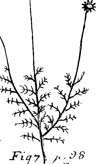 110/110220030502530_0.png