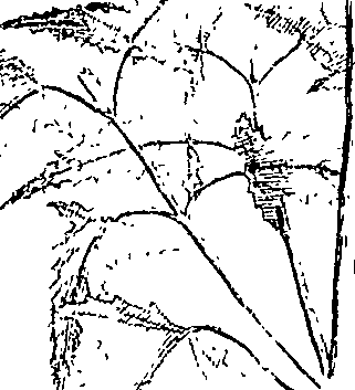 110/110220030502540_0.png