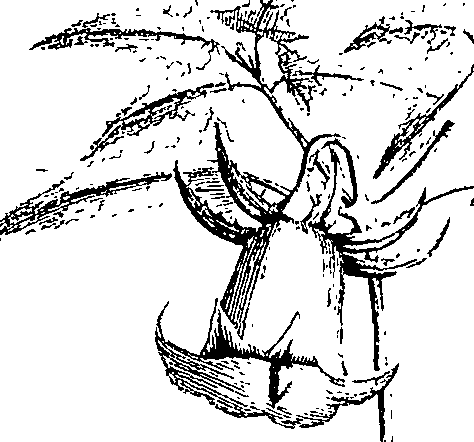 110/110220030502540_1.png