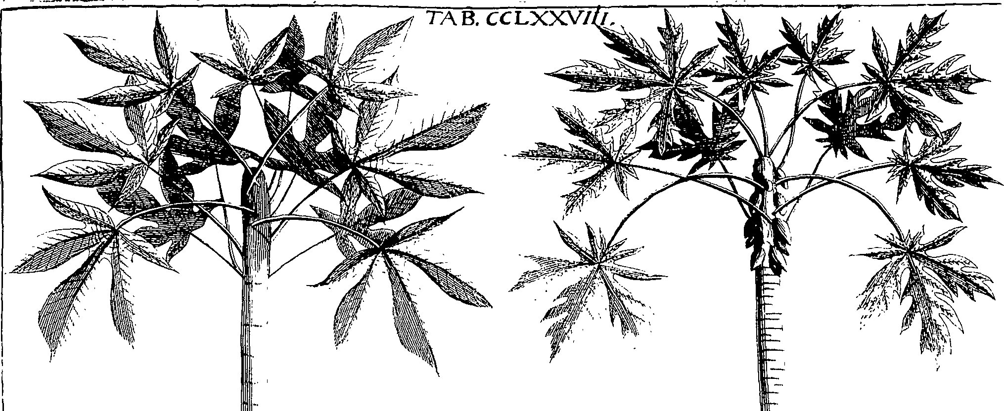 110/110220030502560_1.png