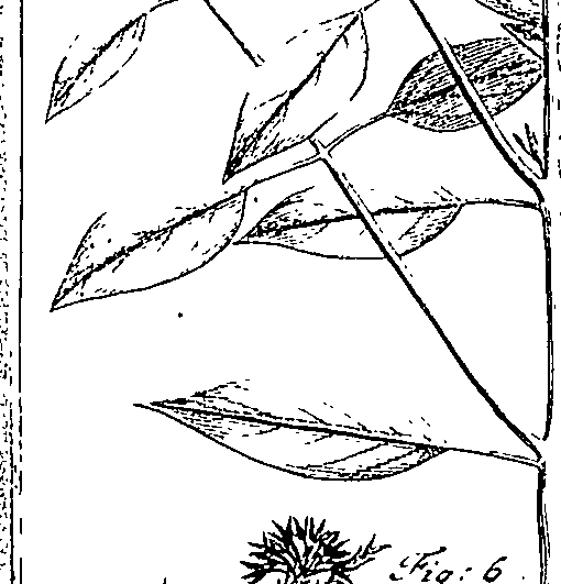 110/110220030502570_1.png