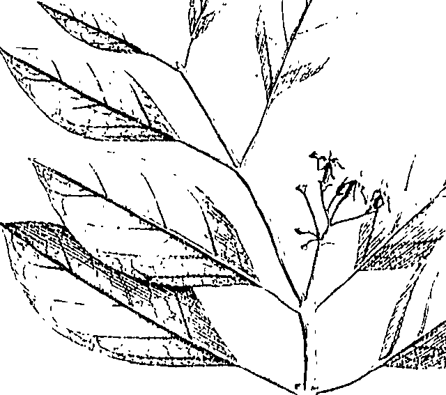 110/110220030502580_0.png