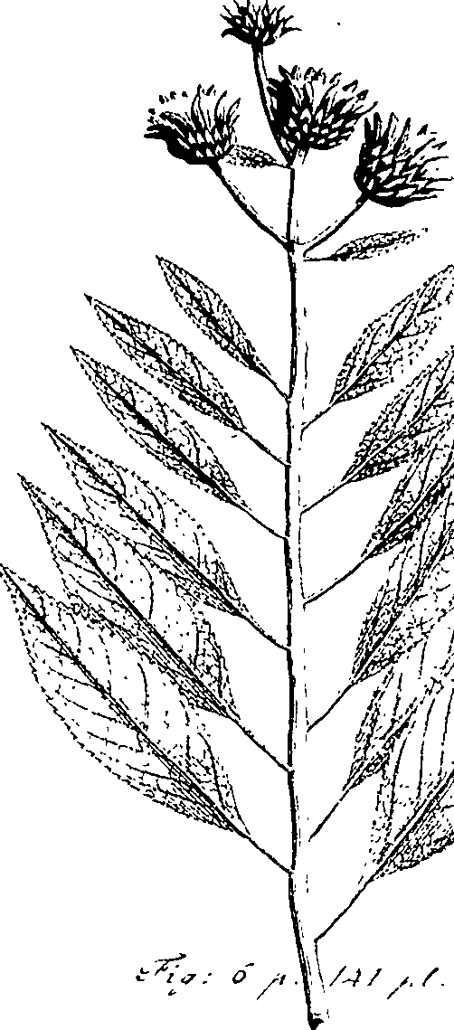 110/110220030502580_1.png