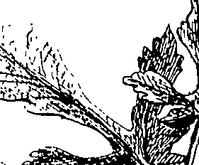 110/110220030502590_0.png