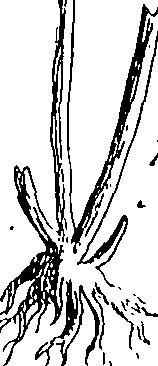110/110220030502600_0.png