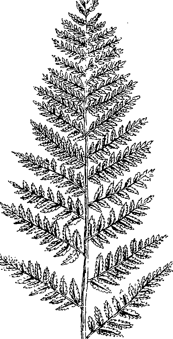 110/110220030502600_1.png