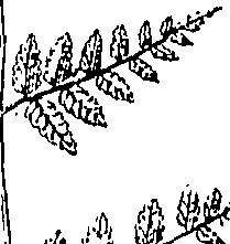 110/110220030502620_0.png