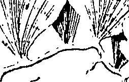 110/110220030502630_0.png