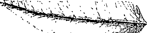 110/110220030502630_1.png