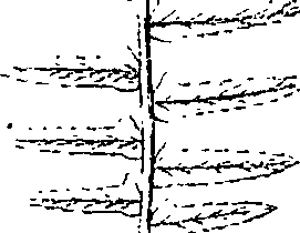 110/110220030502640_0.png