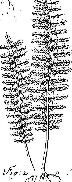 110/110220030502650_0.png