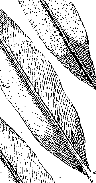 110/110220030502660_0.png