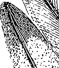 110/110220030502660_1.png