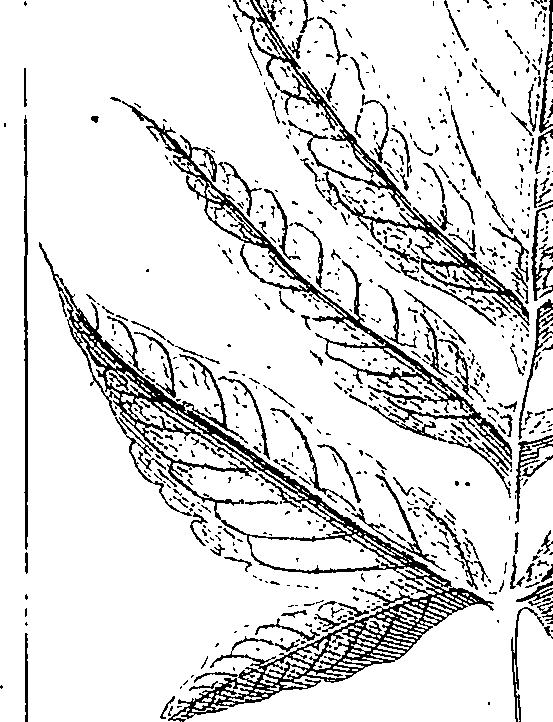 110/110220030502670_0.png