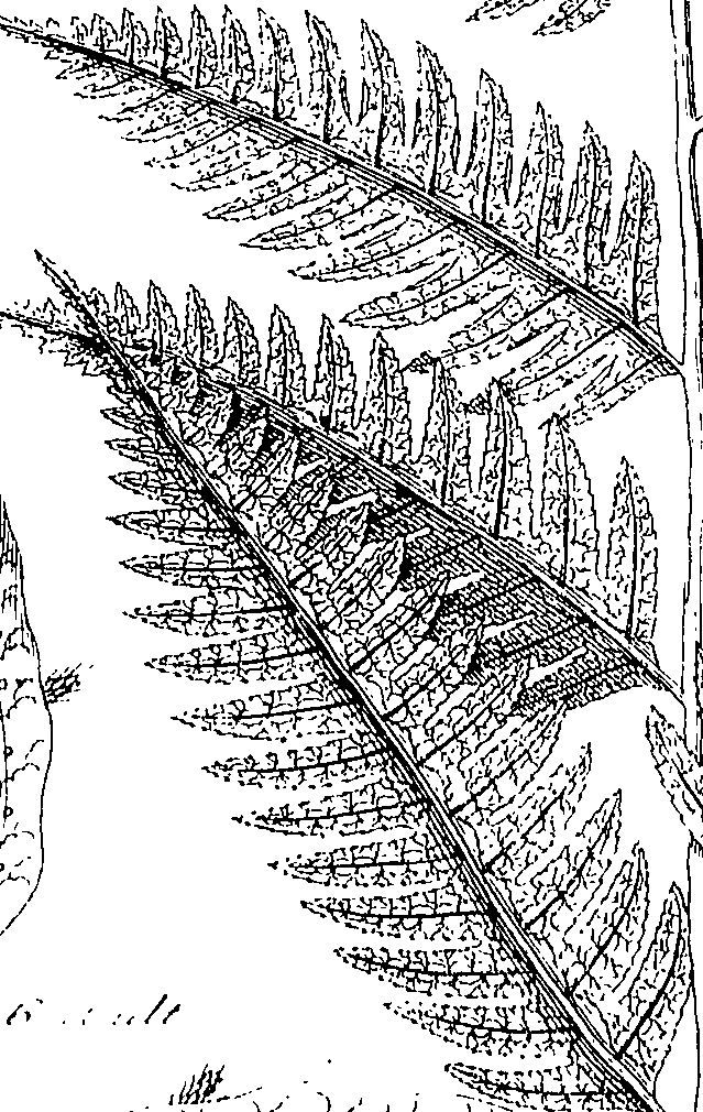 110/110220030502680_0.png