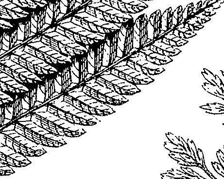 110/110220030502690_0.png