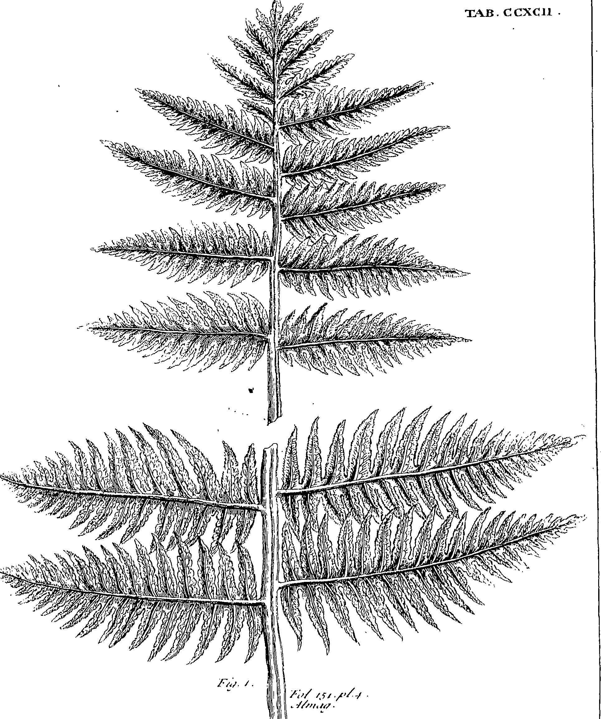 110/110220030502700_0.png