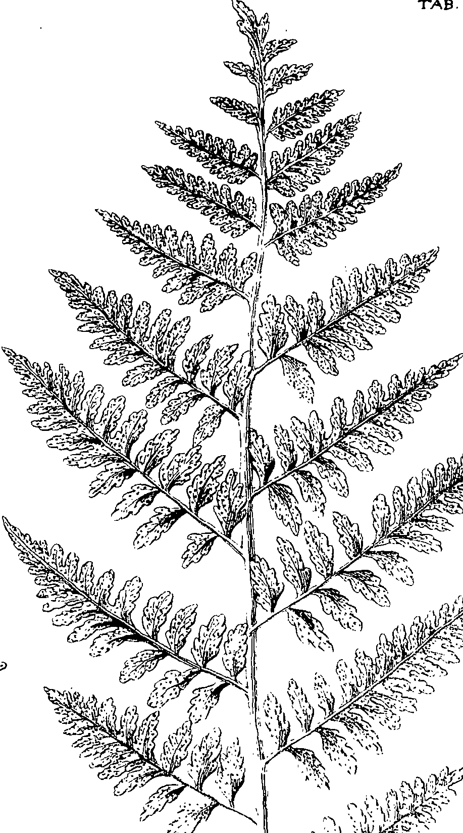 110/110220030502740_0.png