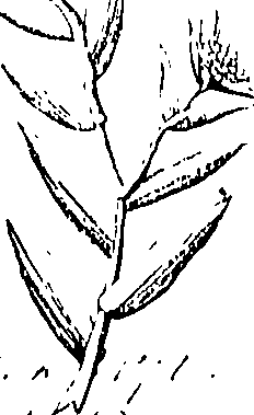 110/110220030502760_0.png