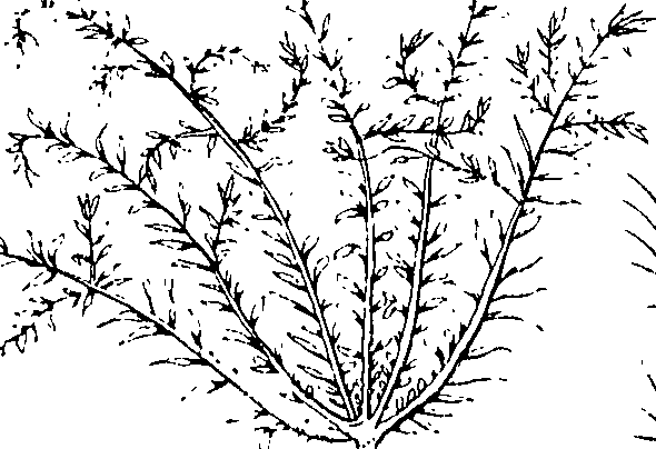 110/110220030502760_1.png