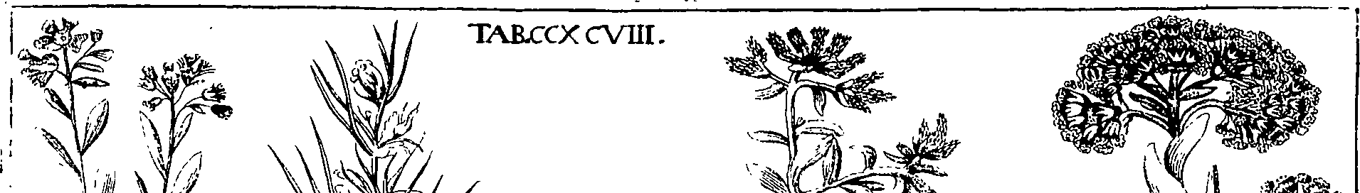 110/110220030502760_3.png