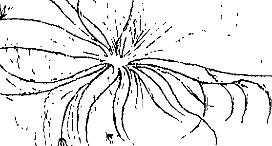110/110220030502770_0.png