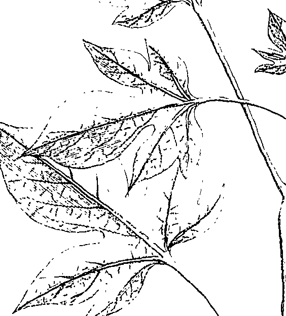 110/110220030502770_1.png