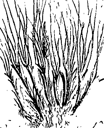 110/110220030502780_0.png