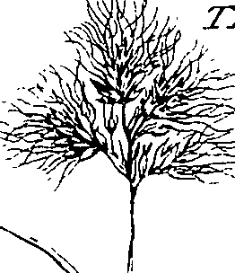110/110220030502780_2.png