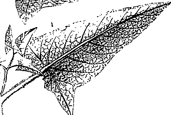 110/110220030502790_0.png