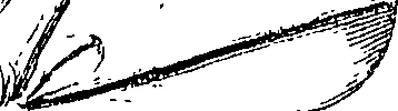 110/110220030502810_0.png