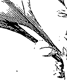 110/110220030502810_1.png