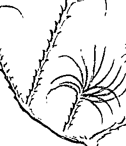 110/110220030502820_1.png